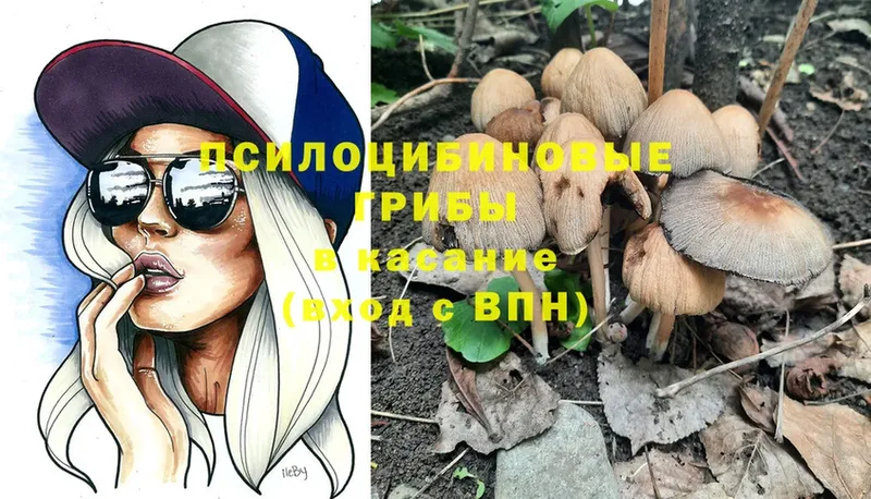 Псилоцибиновые грибы MAGIC MUSHROOMS  Осташков 